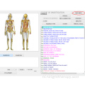 8d nls bioresonantie full body health analyzer